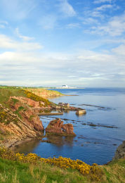 Cove Harbour and Torness