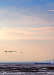 Homeward Bound, Aberlady Bay