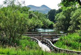 Pond with Decking, Figgate Park, Portobello