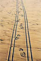 Pram Tracks, Portobello Beach