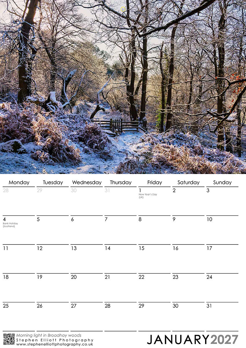 January 2027 - Morning light in Broadhay woods