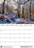 January 2027 - Morning light in Broadhay woods