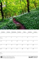 May 2027 - Wild Garlic in Great Shacklow Woods