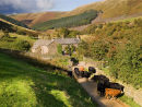 Till the cows come home