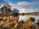 Longshaw Lake