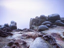 Burbage Mist
