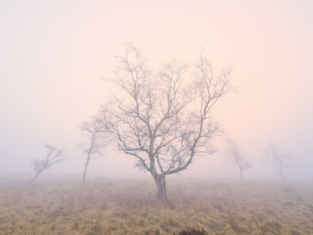 105 Dawn on Leash Fen