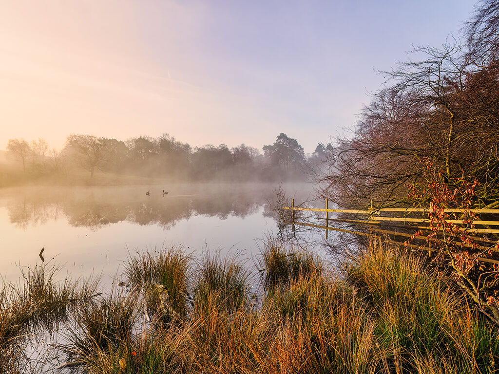 107 Longshaw dawn