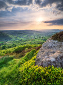 Springtime on Millstone Edge