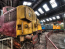 Engine Shed