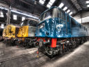 Diesel Locomotives