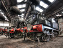 In the Roundhouse