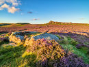 Heather on Hathersage Moor