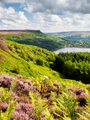 Derbyshire View
