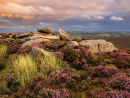 heather on High Neb