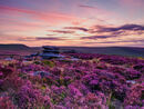 129 Dawn light at Over Owler Tor