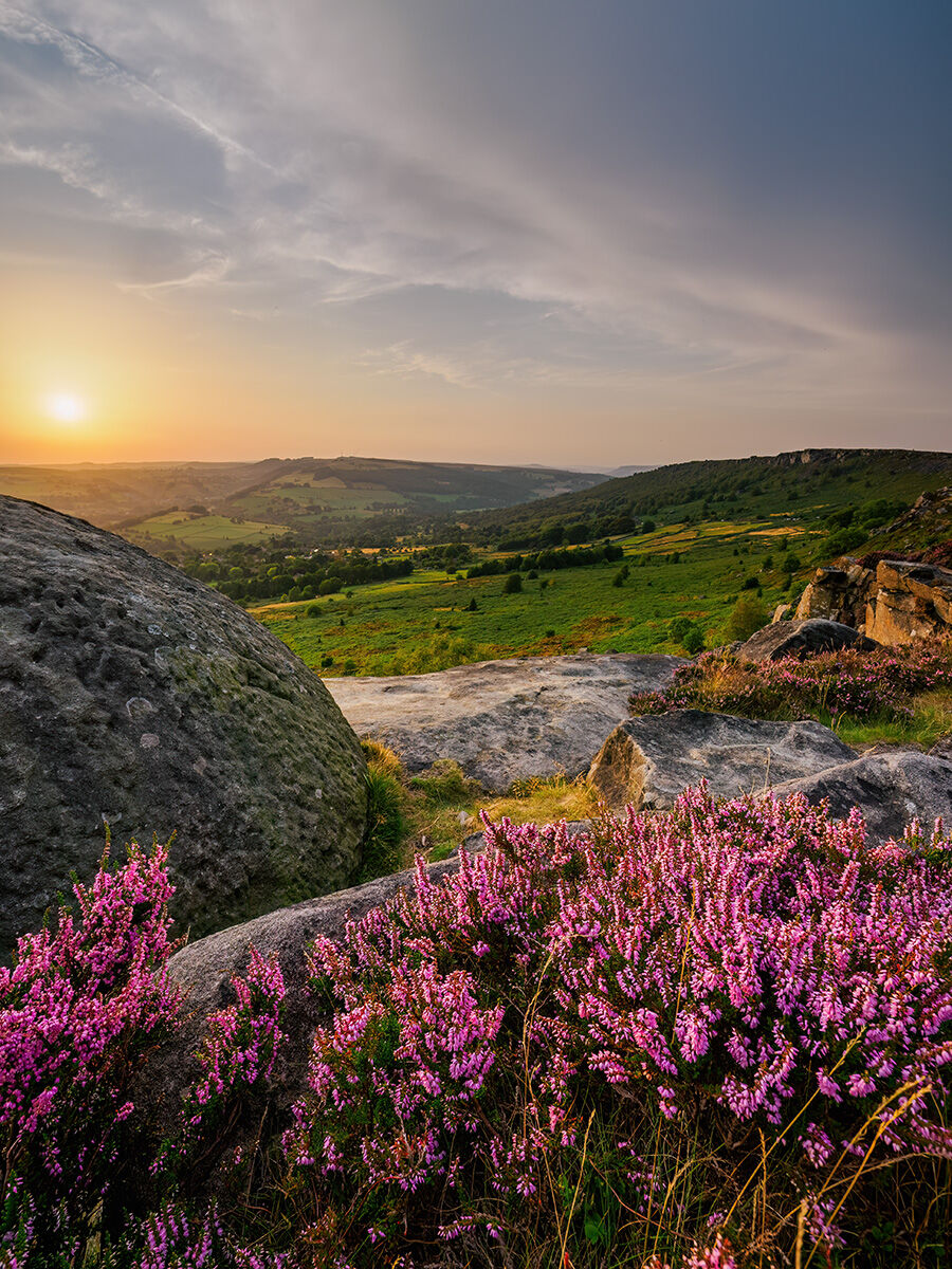 75. Baslow Edge heather