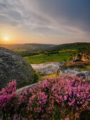 75. Baslow Edge heather