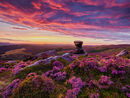 133 Summer sunset at the Salt Cellar