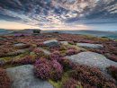 Summer morning at Over Owler Tor