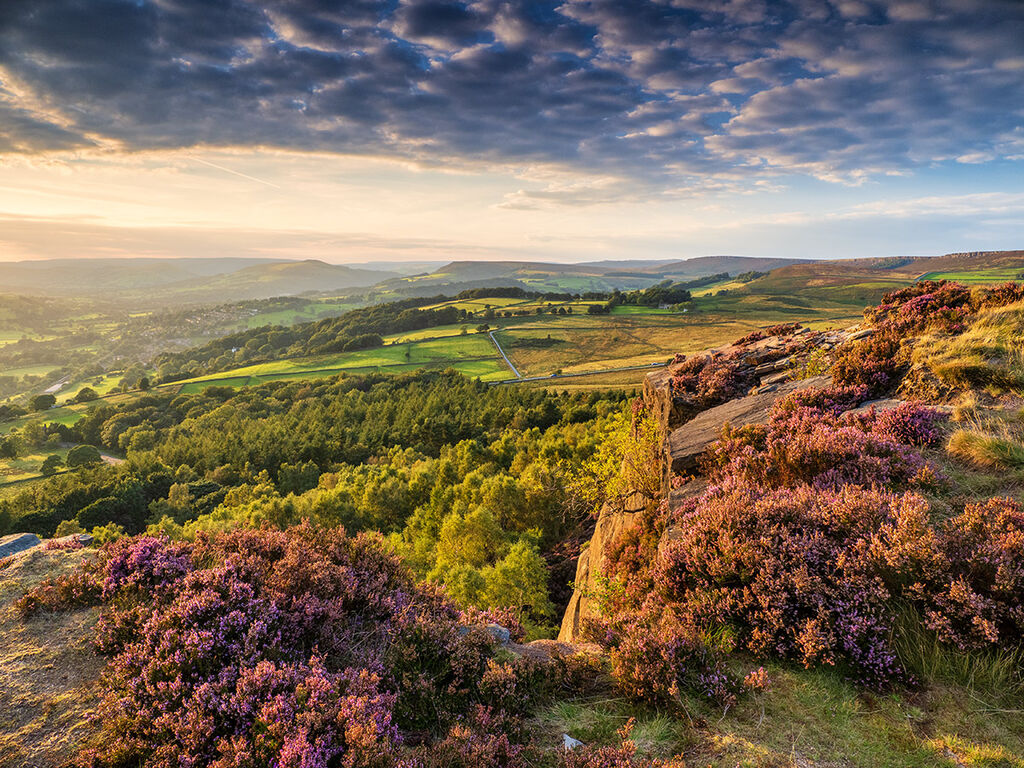 Golden hour on Millstone Edge