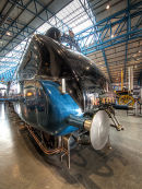 Mallard