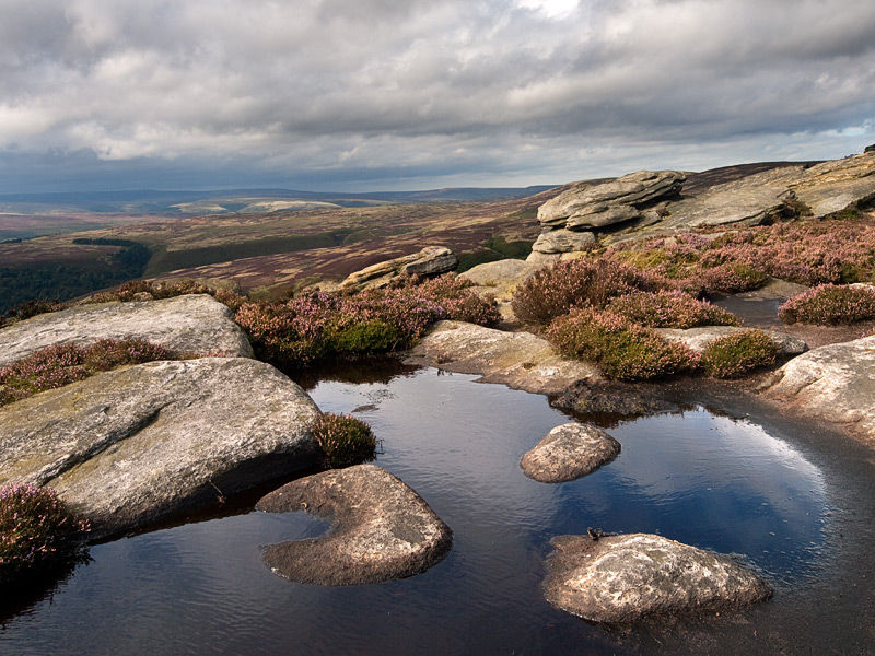 3 stones in a peat bog