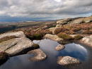 3 stones in a peat bog