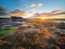 Owler sunrise