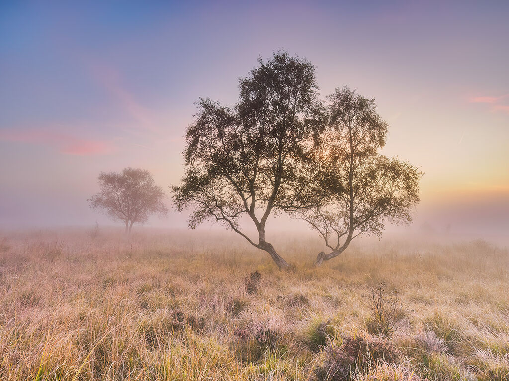 83. Dawn on Leash Fen 2