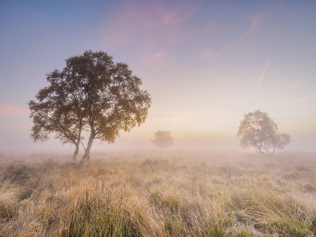 82. Dawn on Leash Fen
