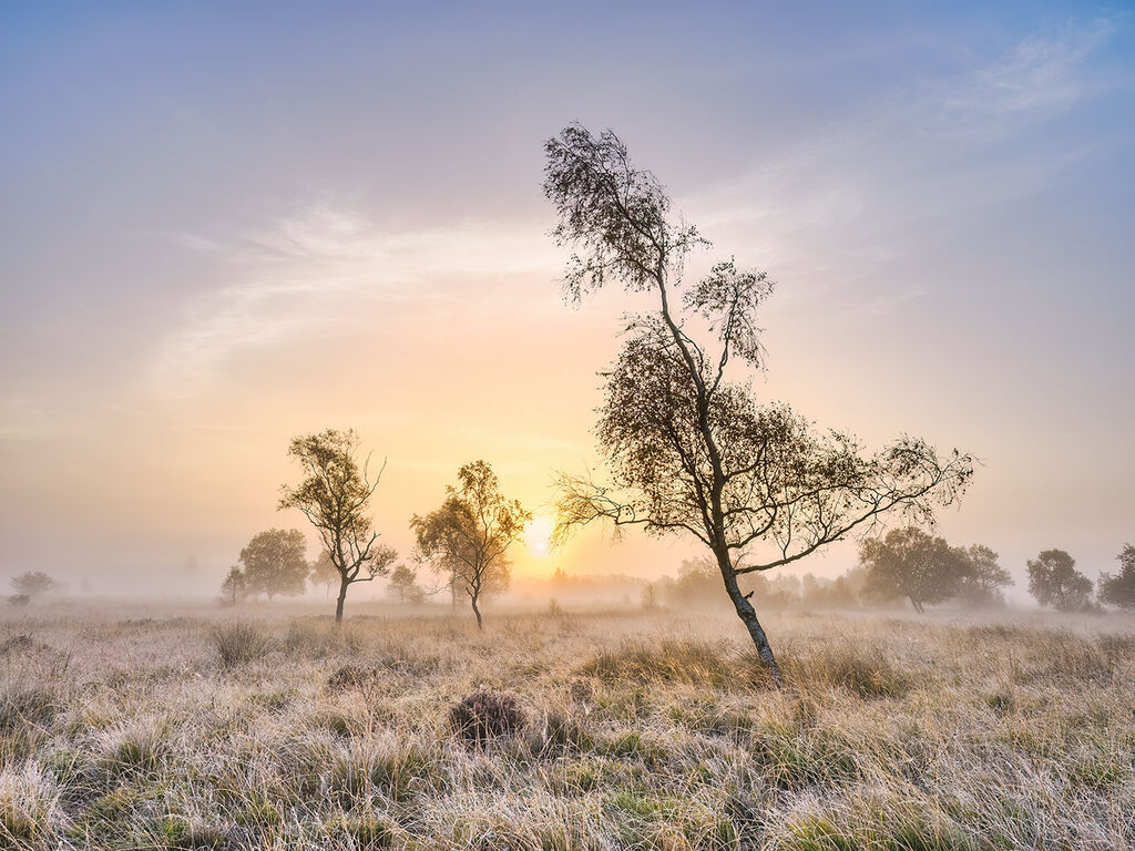 84. Sunrise on Leas Fen