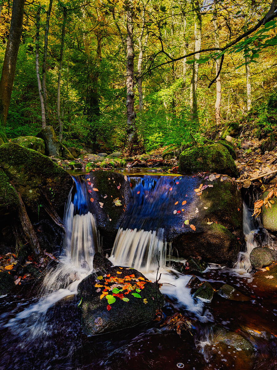 86. Autumn in Padley Gorge
