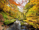 Padley Gold