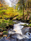 Padley Gorge in autumn