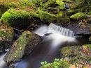 Wyming Brook 4