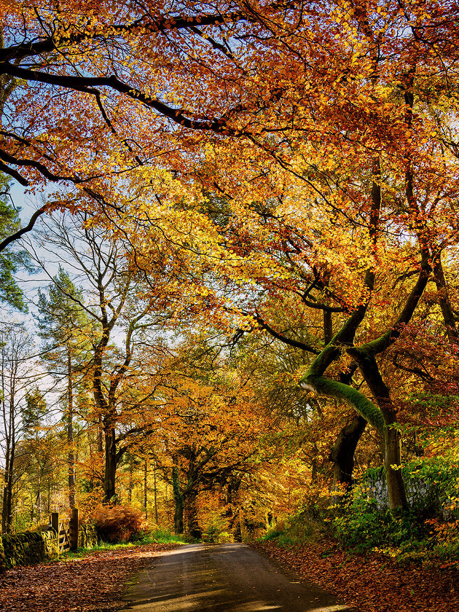92. Hathersage in Autumn v
