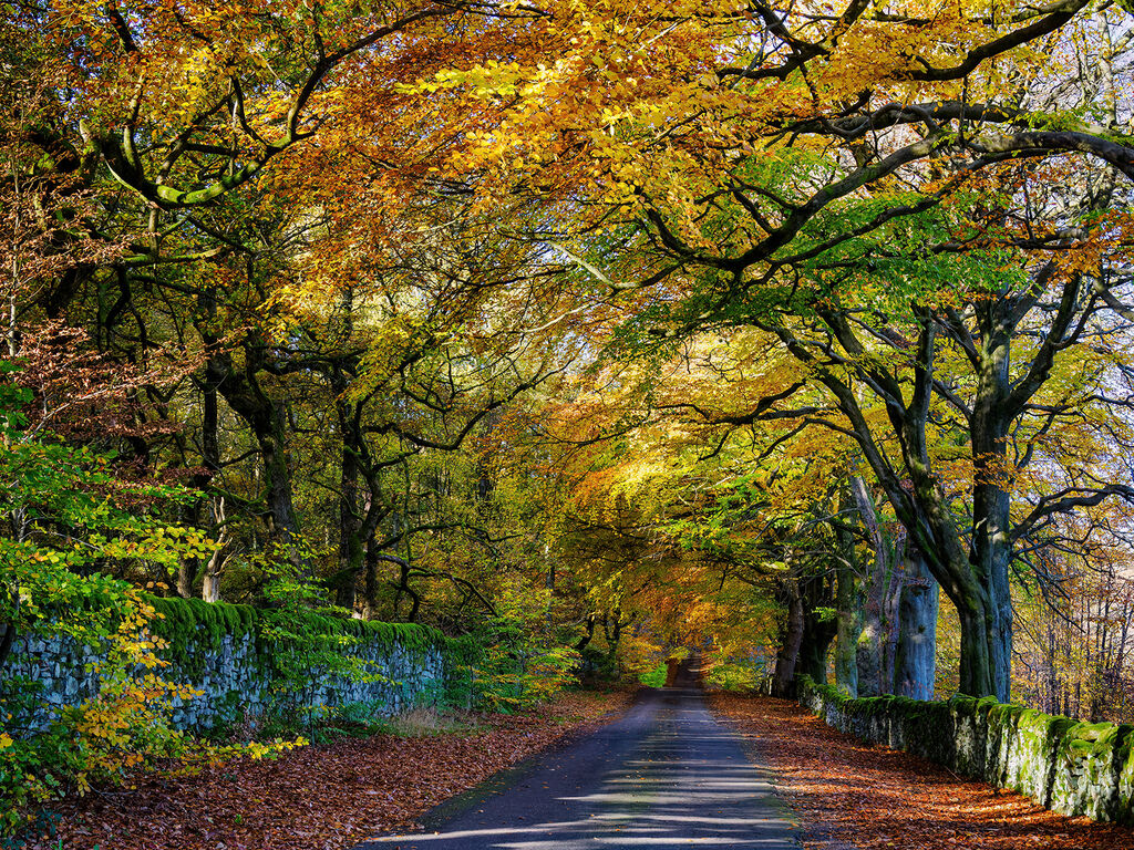 89. Hathersage in Autumn