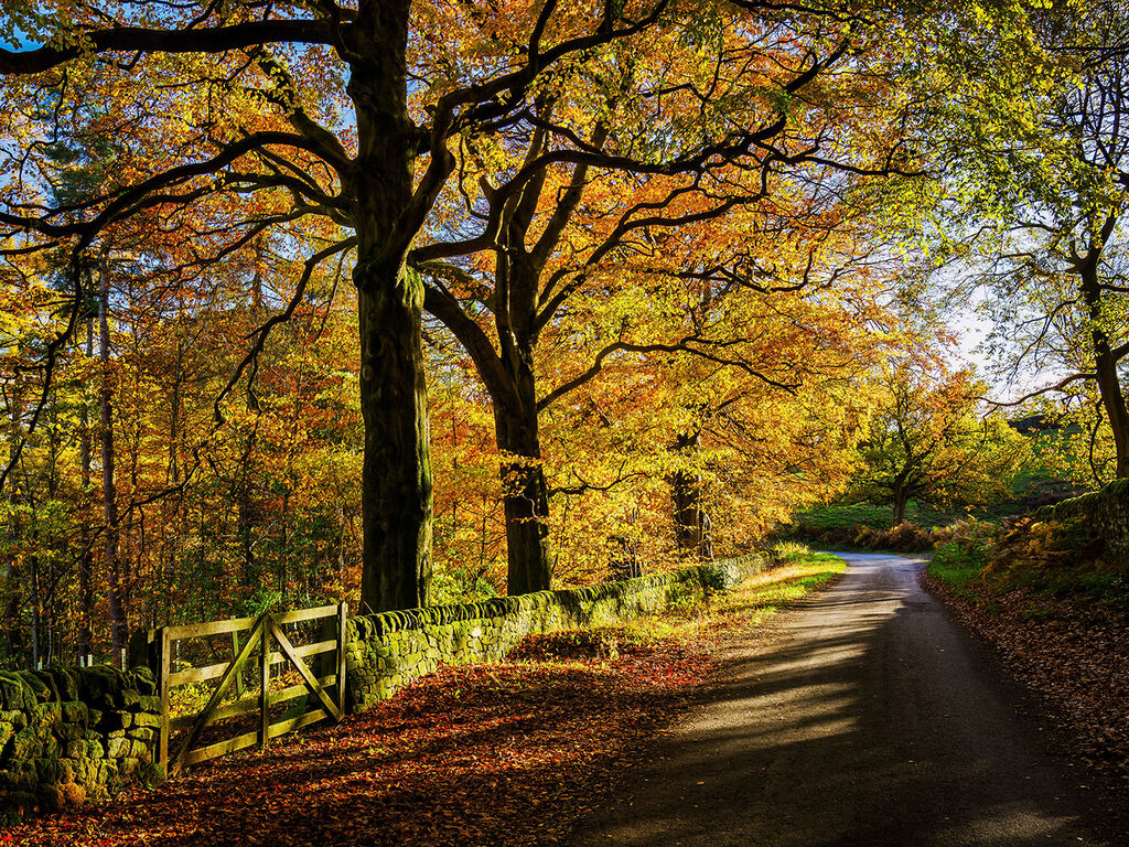 91. Autumn in Hathersage
