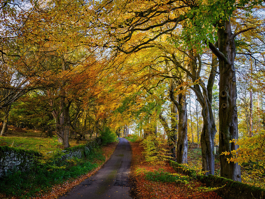 90. Autumn in Hathersage