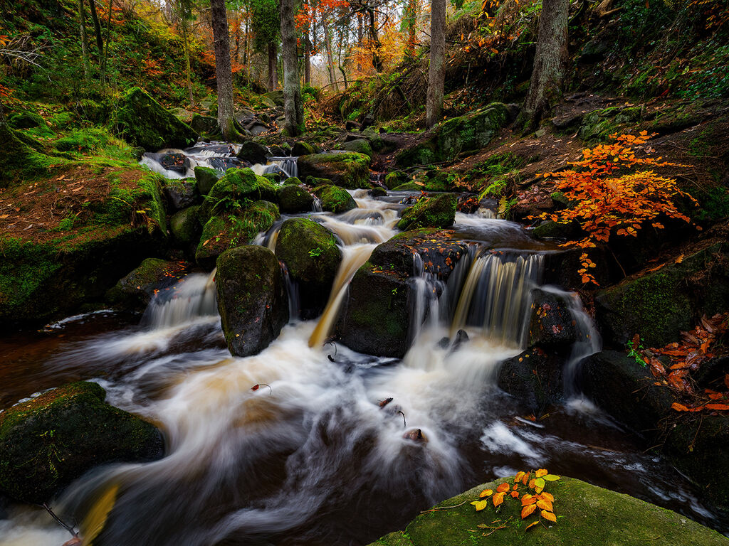 96. Wyming brook in autumn