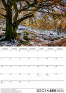 December 2026 - Winter morning in Hathersage