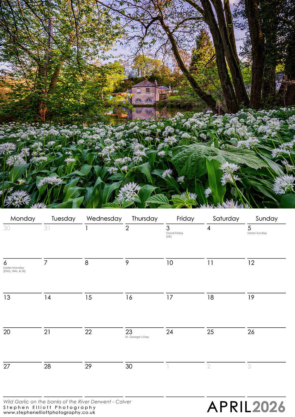 April 2026 - Wild Garlic on the banks of the River Derwent - Calver