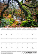 October 2021 - Autumn colour - Padley woods