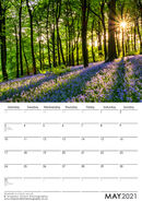 May 2021 - Bluebells in Corbar Woods