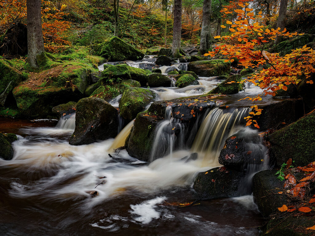 95. Autumn at Wyming Brook