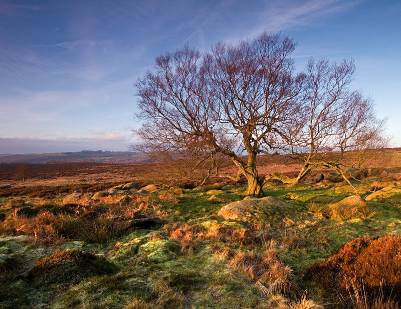 Lawrence Field - Hathersage