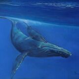 Humpback Whales Humpback mother and calf pastel artwork