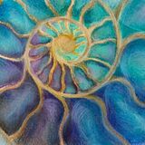 Time (blue/green) Time ammonite drawing by Dawn Rodger
