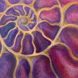 Time (purple/red) Ammonite spiral purple painting by Dawn Rodger